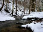 Haderniggbach Im Schnee Mitterstrassen